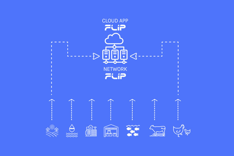 FLIP Product Solution Architecture